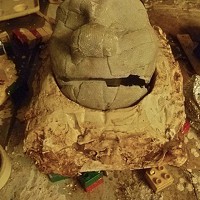 Plaster cast